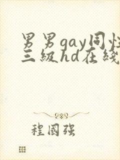 男男gay同性三级hd在线