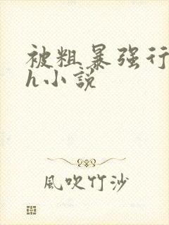 被粗暴强行玩弄h小说