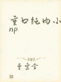 重口纯肉小说 np