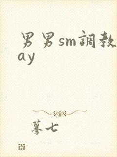 男男sm调教gay封面