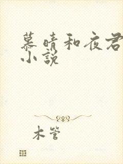 慕晴和夜君博的小说