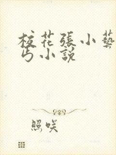 校花张小艺与乞丐小说封面