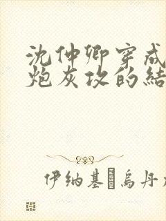 沈仲卿穿成反派炮灰攻的结局封面