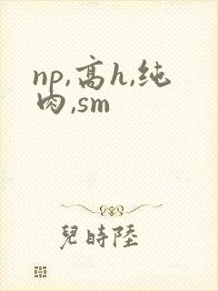 np,高h,纯肉,sm