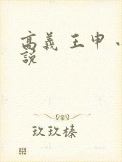 高义 王申 小说