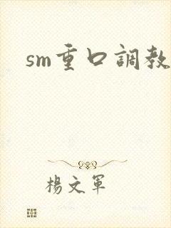 sm重口调教文封面