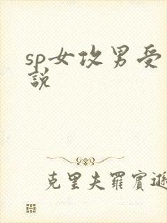 sp女攻男受小说