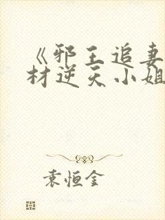 《邪王追妻:废材逆天小姐》txt