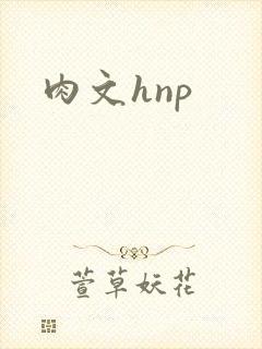 肉文hnp封面