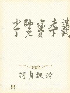 少帅你老婆又跑了免费下载txt封面