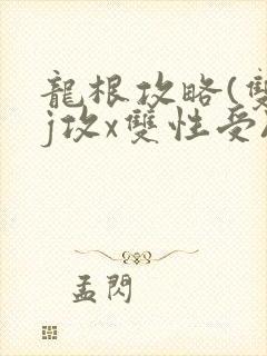 龙根攻略(双jj攻x双性受)