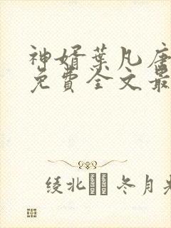 神婿叶凡唐若雪免费全文最新版