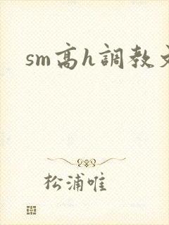 sm高h调教文