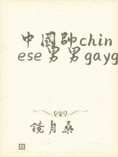 中国帅chinese男男gaygay网站