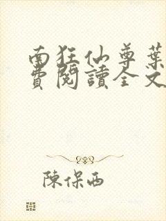 南狂仙尊叶辰免费阅读全文