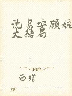 沈易安顾婉后续大结局