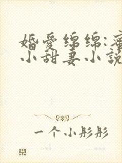 婚爱绵绵:蜜宠小甜妻小说