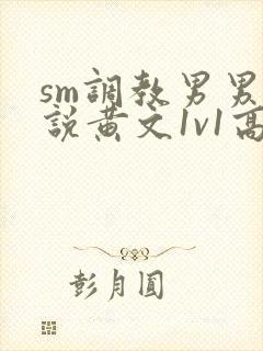 sm调教男男小说黄文1v1高h强制
