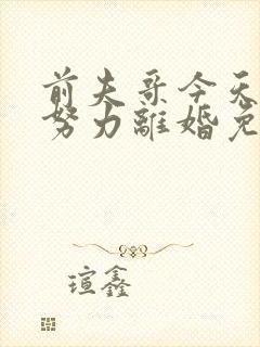 前夫哥今天也在努力离婚免费阅读