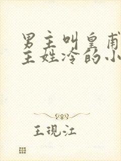 男主叫皇甫绝女主姓冷的小说封面