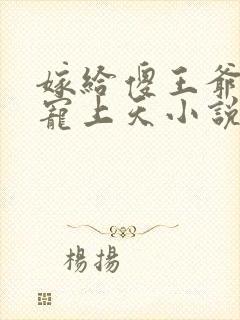 嫁给傻王爷后被宠上天小说