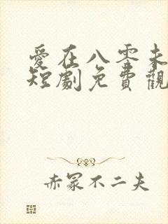 爱在八零未嫁时短剧免费观看