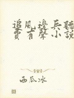 追风边兵听书免费有声小说