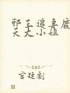 邪王追妻废柴逆天大小姐