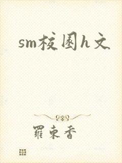 sm校园h文