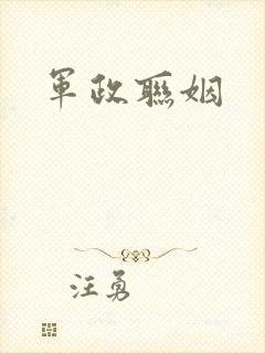 军政联姻