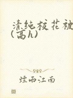 清纯校花被调教(高h)