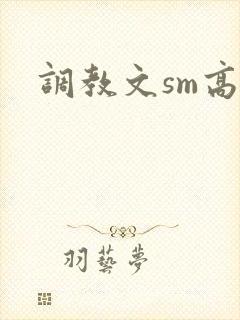 调教文sm高h