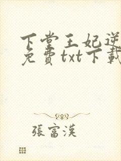 下堂王妃逆袭记免费txt下载