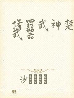 修罗武神楚枫的武器