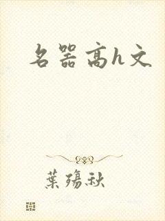 名器高h文