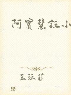 阿宾慧钰小说