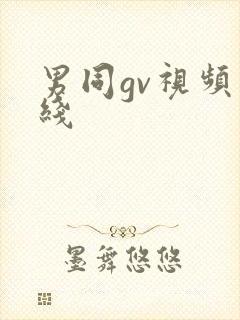 男同gv视频在线