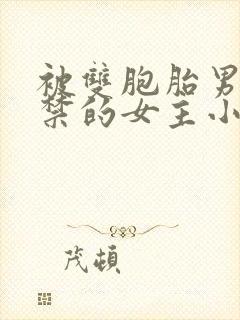 被双胞胎男主囚禁的女主小说封面