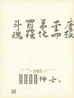 斗罗弟子唐三武魂强化面板