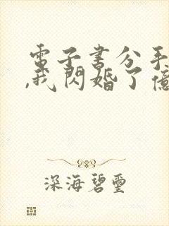 电子书分手当天,我闪婚了亿万富豪封面