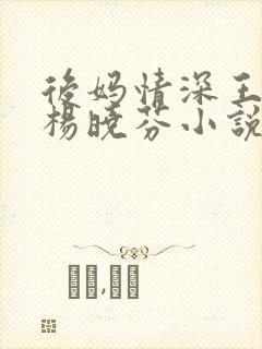 后妈情深王磊与杨晓芬小说