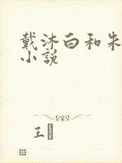 戴沐白和朱竹清小说