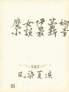 魔女伊蕾娜恶堕小说最新章节更新内封面