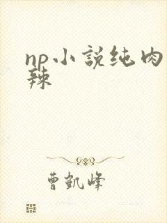 np小说纯肉高辣