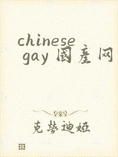 chinese gay 国产网站
