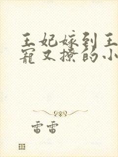 王妃嫁到王爷又宠又撩的小说