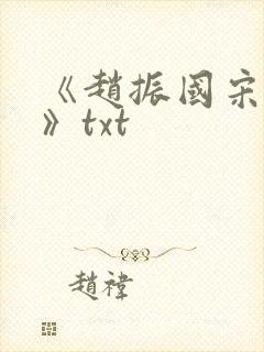《赵振国宋婉清》txt