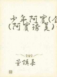 少年阿宾(全)(阿宾琇美)番外+大结局小说封面