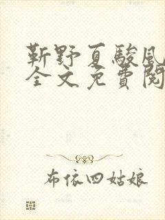 靳野夏骏风小说全文免费阅读正版