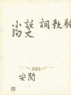 小说 调教骚母狗文封面